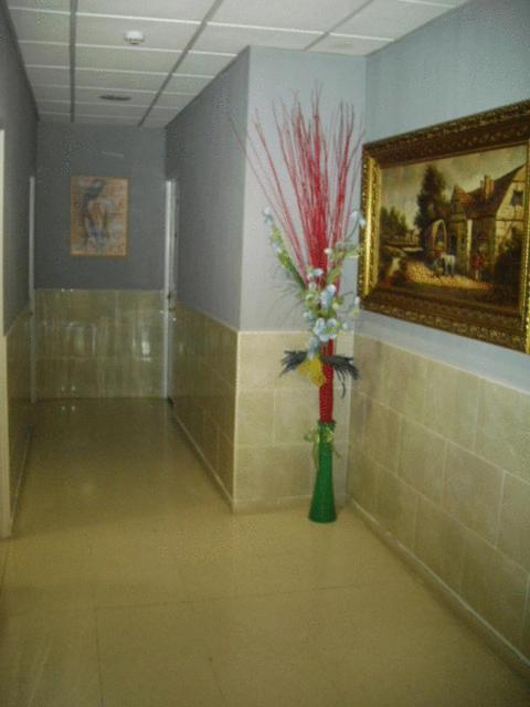 Hostal Ds Велия де Сан Антонио Екстериор снимка